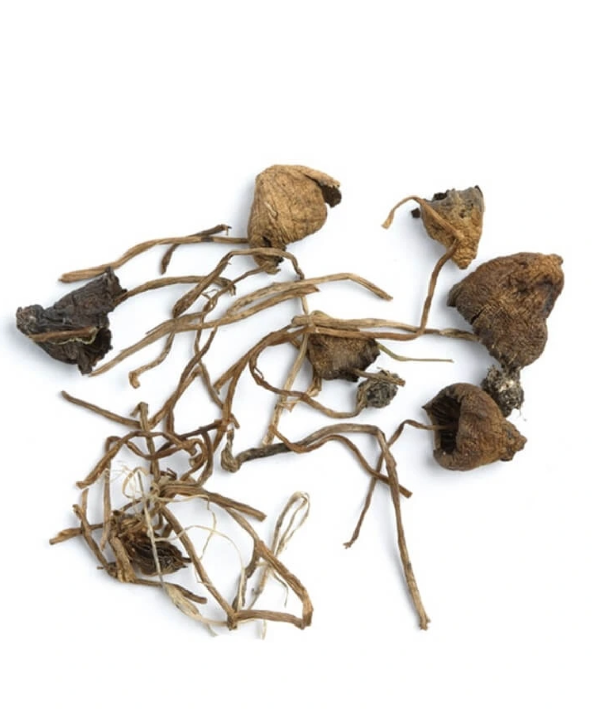Buy Liberty Caps Mushrooms Canada Buy Liberty Caps Mushrooms Canada
