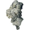 Buy Mushroom Enigma Canada