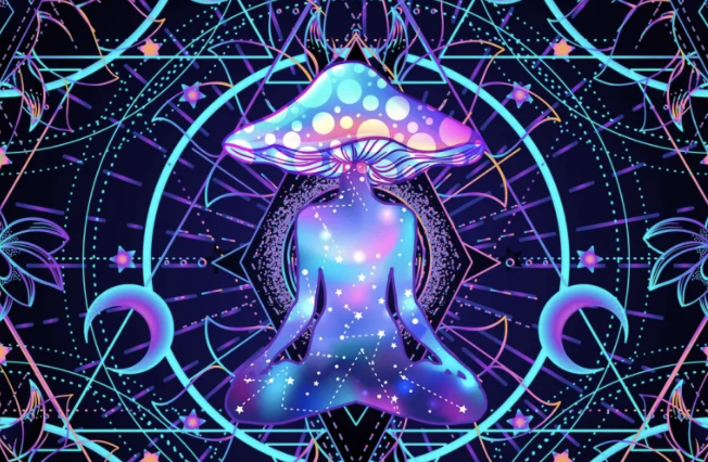 psychedelic shop canada