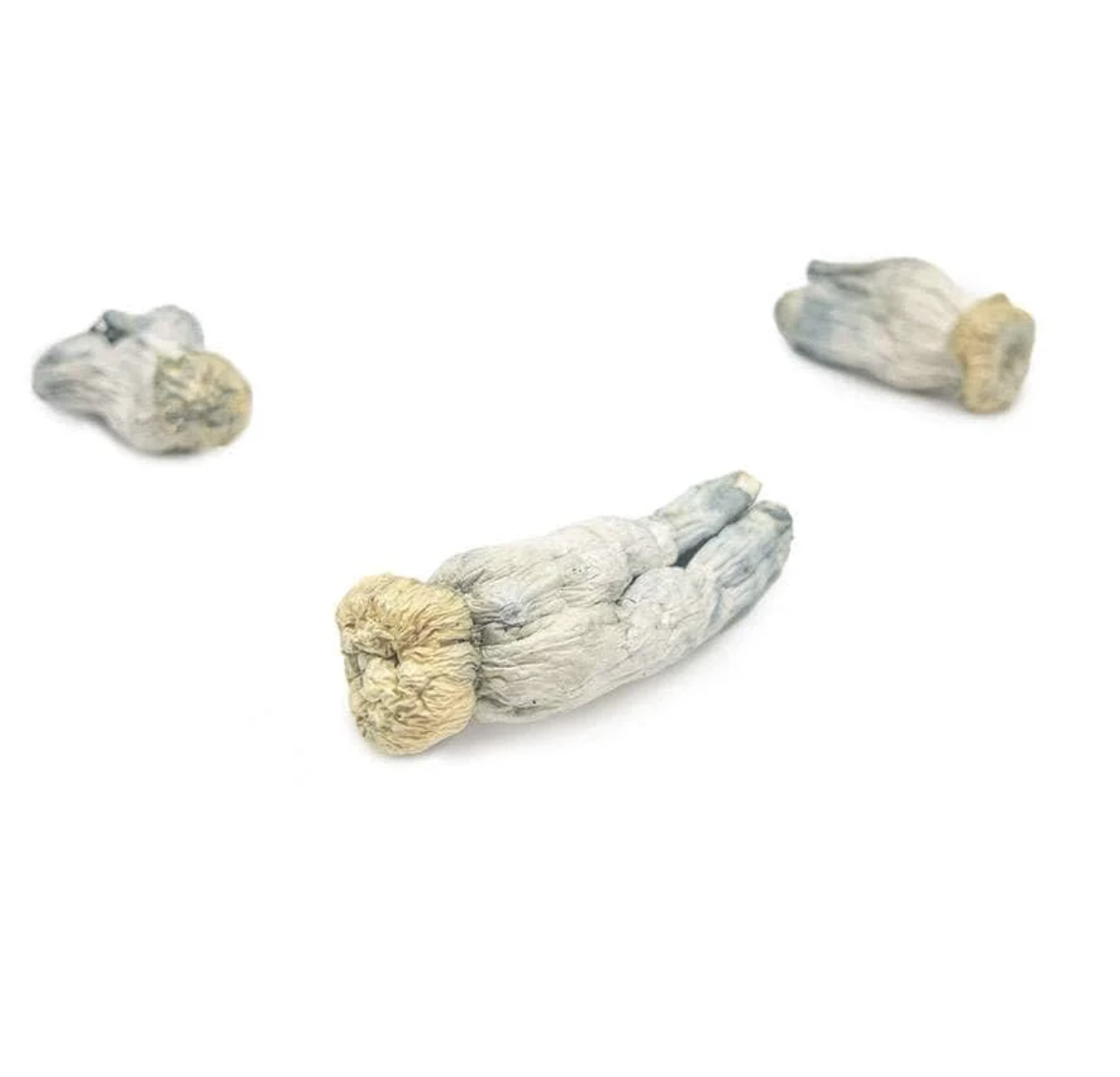 BUY Yeti Mushroom ONLINE BUY Yeti Mushroom ONLINE